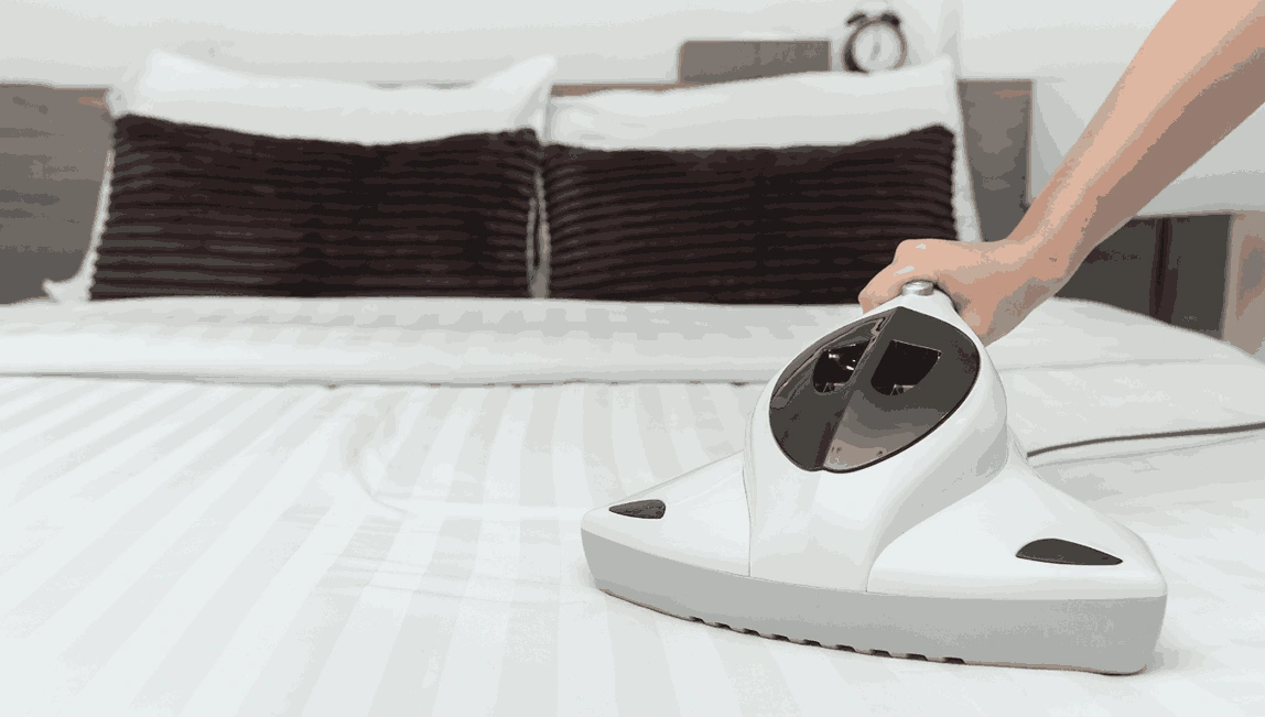 Professional Mattress Cleaning Darley